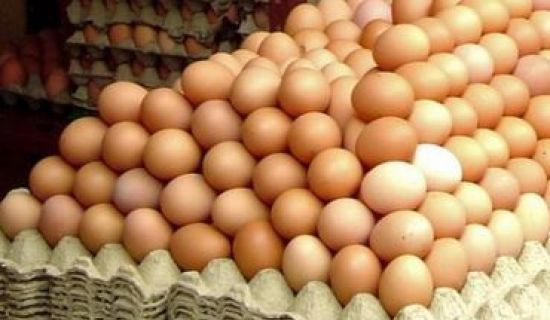 Мясо молдавской птицы и яйца не попадут на рынки ЕС