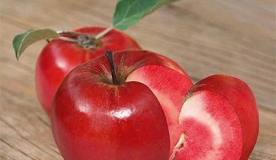 În Moldova a fost creat primul soi de măr cu miezul roșu