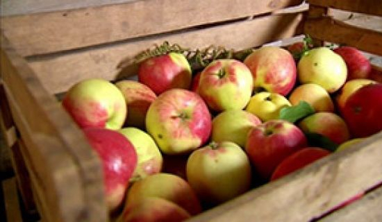 În iulie 2018, prețurile mărului în Moldova au scăzut