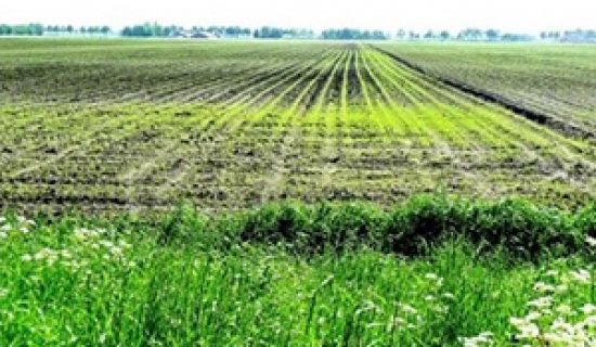 Accesul la terenurile agricole din raionul Dubăsari au fost restabilite