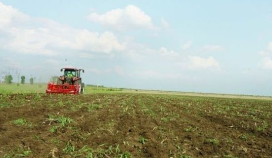 Ajutor financiar deţinătorilor de terenuri agricole după traseul Rîbniţa-Tiraspol