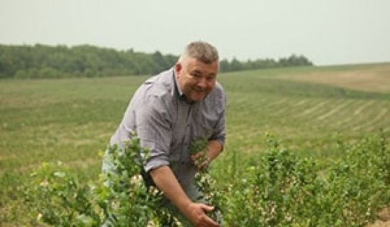 O companie internațională va procura produse agricole moldovenești