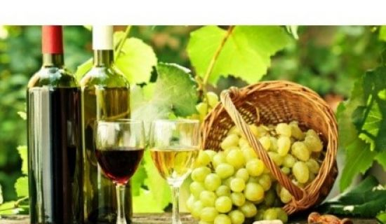 Moldova și Italia vor coopera în domeniul sectorului vitivinicol